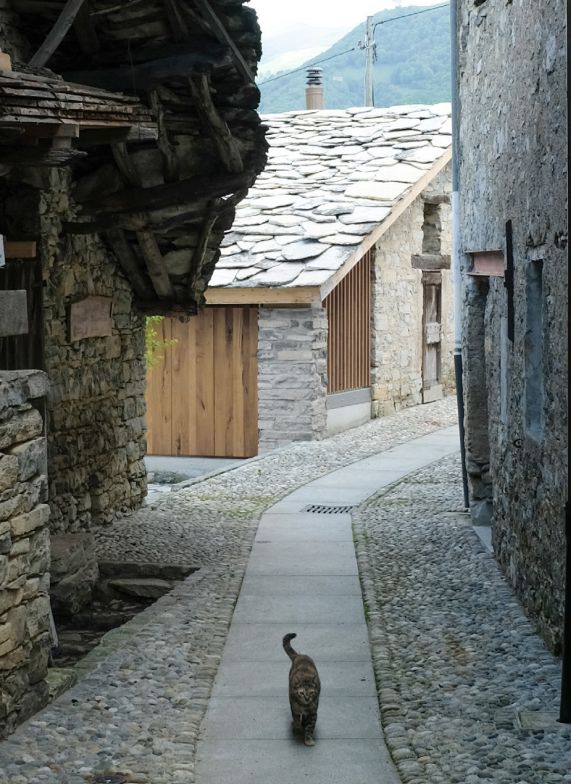 La Graa. Winner of the Marita Schnepper Award 2025 for ecological and sustainable architecture.